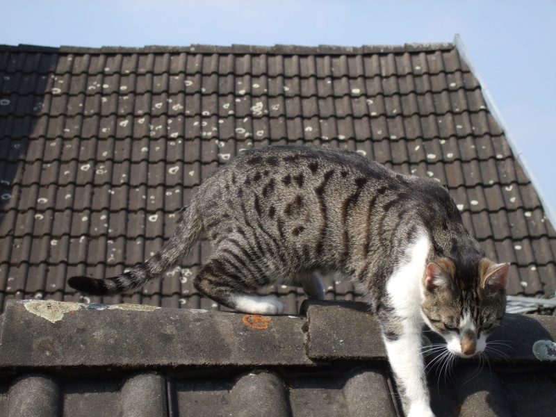 Ostern 2007 Orleshausen 137 